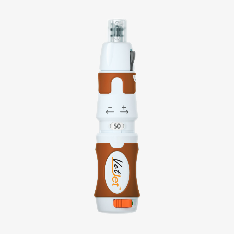 Vetjet